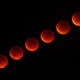 Illustration for article titled 34 Amazing Photos Of The Super Blood Moon